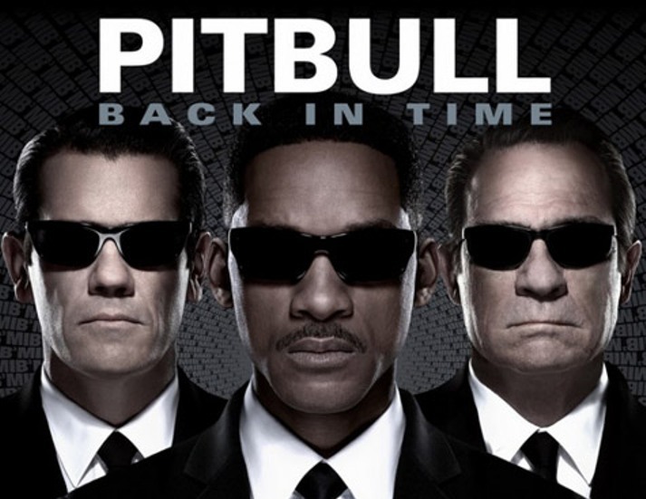Back in time pitbull