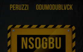 Peruzzi ft. Odumodublvck – Nsogbu (Instrumental)